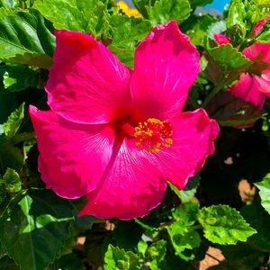 Meet your Posher, Emilie